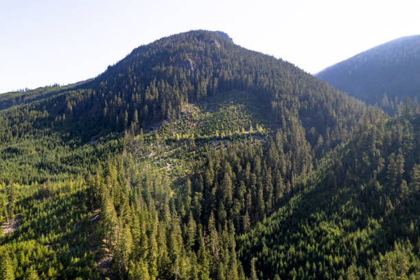 istock High angle view of forest and mountains 2166454791