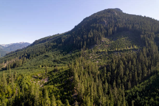 istock High angle view of forest and mountains 2166454848