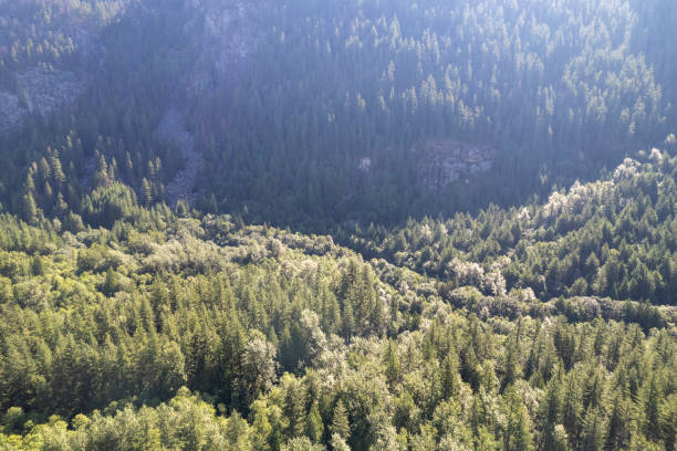 istock High angle view of forest and mountains 2166454857