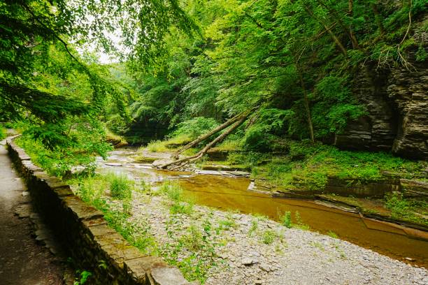 istock Gorge Trail Robert H Treman State Park New York 2166458884