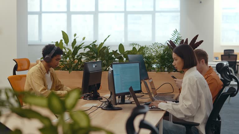 Programmers working in a coding start up business.