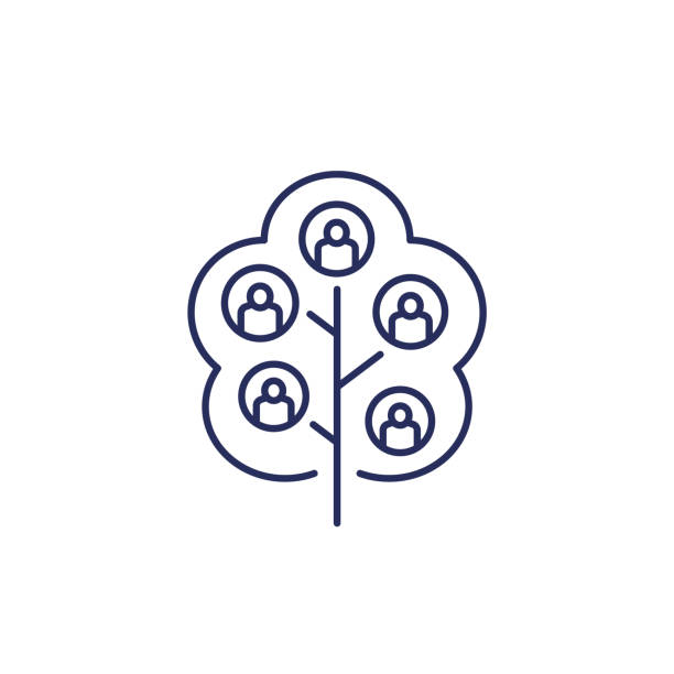 genealogy tree line icon on white