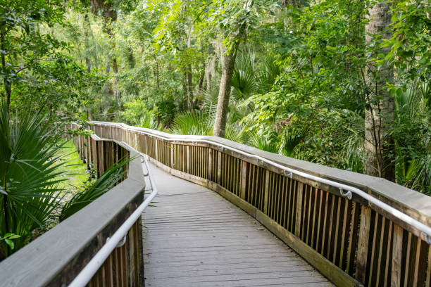 istock Accessible Wooden Boardwalk in Florida 2166472637