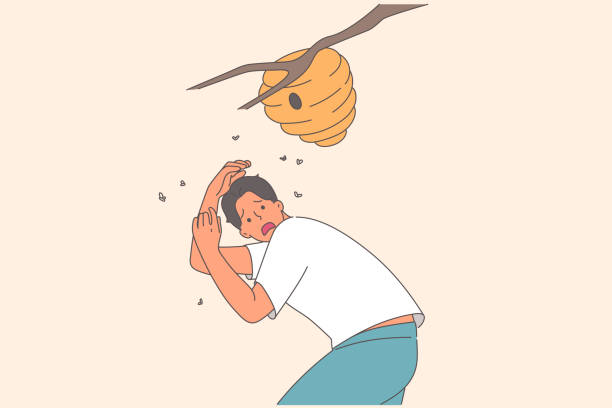 Nest of angry bees above frightened man standing near branch, at risk of anaphylactic shock Nest of angry bees above frightened man standing near branch, at risk of anaphylactic shock due to allergies. Guy disturbed wild bees and screams in fear, trying to escape from being stung hornet swarm stock illustrations