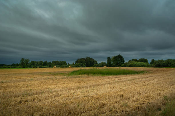 istock Dark clouds over a rural stubble field 2166479564