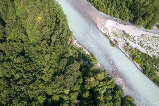 istock Aerial view of river and forest 2166481846