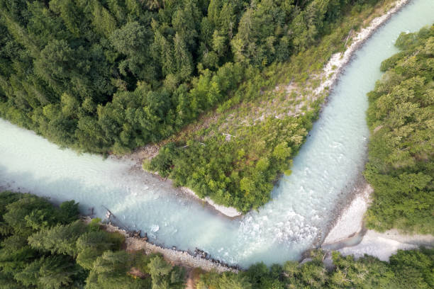istock Aerial view of river and forest 2166482014