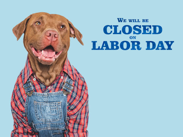 istock Signboard We will be closed on Labor Day 2166482319