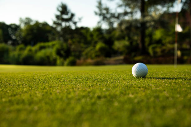 istock Closeup Golf ball on green grass on course 2166485377