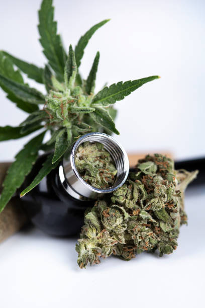 istock Cbd concept, Marijuana and cannabis buds 2166485681