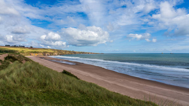 istock The beach and cliffs at Lunan Bay, Scotland, UK 2166487226