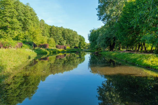 istock River in the park. Beautiful calm landscape in summer. 2166488079