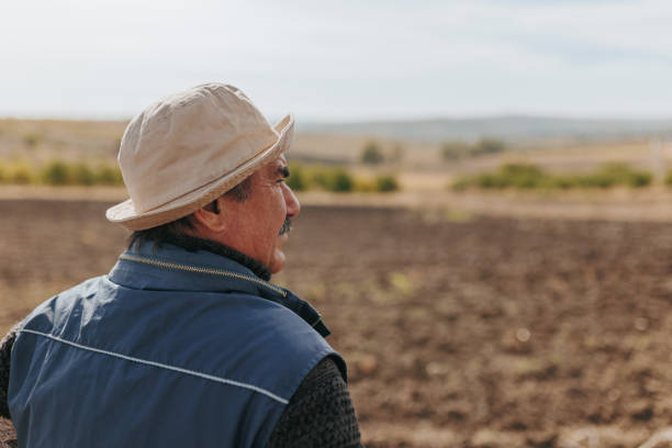 istock Rural Insight Senior Farmer Analyzing Soil during Harvest Season, back view 2166491419