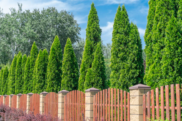 istock Fence with wooden panels and brick wall on yard grounds. 2166492159
