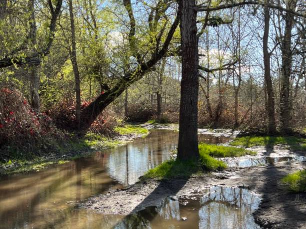 istock Ragle Ranch Regional Park, Sonoma County, California 2166495959