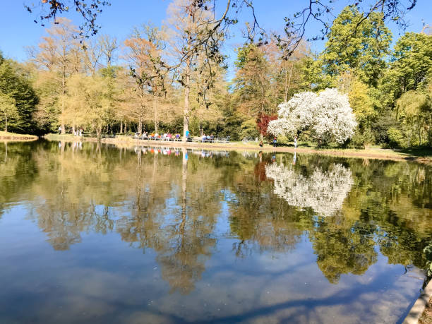 istock A pond with a tree in the background 2166497948