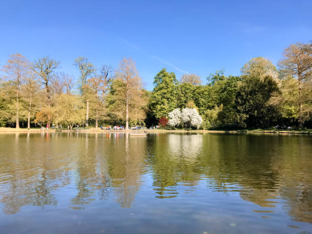 istock A park with a lake and trees 2166498007