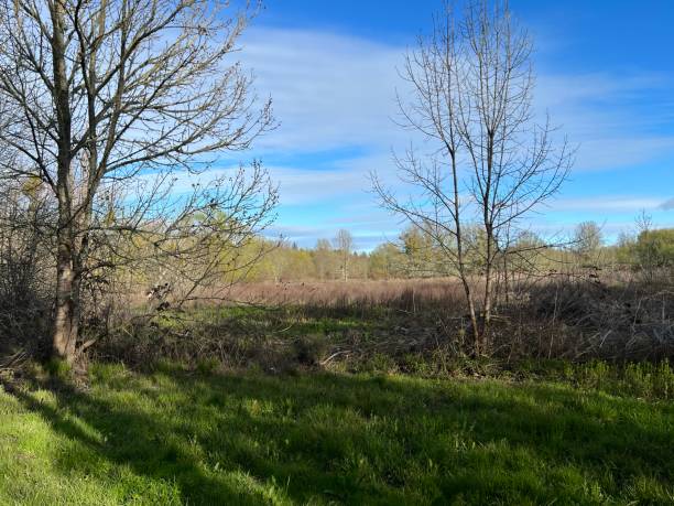 istock Ragle Ranch Regional Park, Sonoma County, California 2166499520