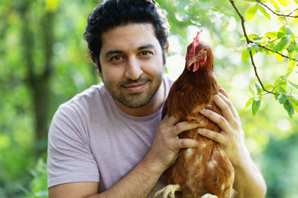 istock man holdinh one of his chicken 2166502277