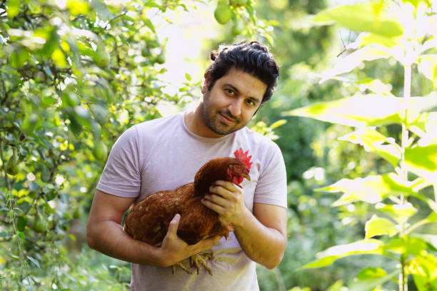 istock man holdinh one of his chicken 2166502297