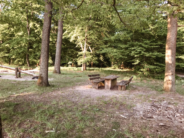 istock A picnic table is set up in a wooded area 2166503364