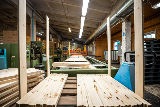istock A large woodworking factory with stacks of freshly cut timber panels ready for processing, showcasing industrial efficiency and precision in a well-lit manufacturing environment 2166506769