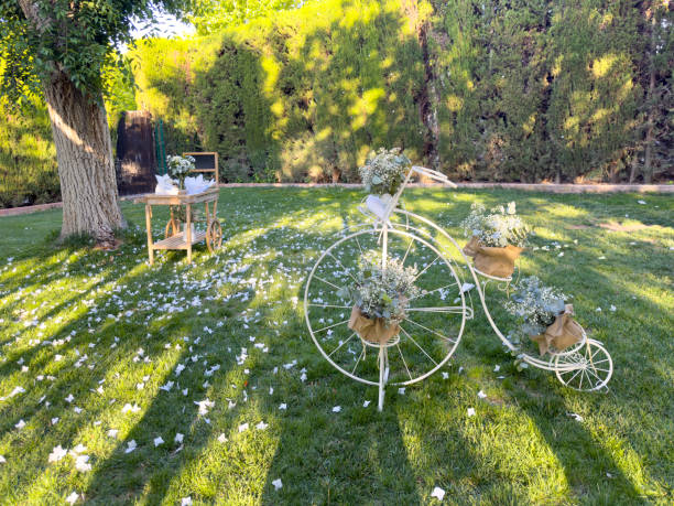 istock Rustic Charm: Vintage Bicycle at Outdoor Ceremony 2166511151