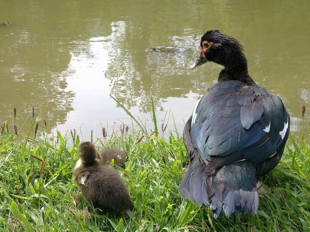 istock The mother and the son 2166513903