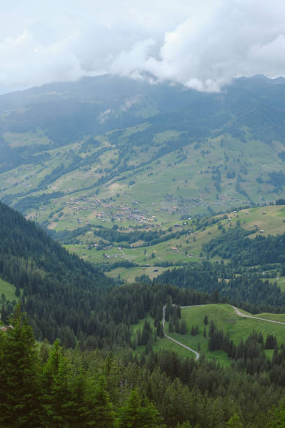 istock Scenic view of mountain meadow in summer 2166515365