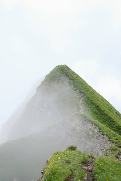 The fog creeps up the valley and covers the beautiful Appenzell landscape in Switzerland under a sea of mist