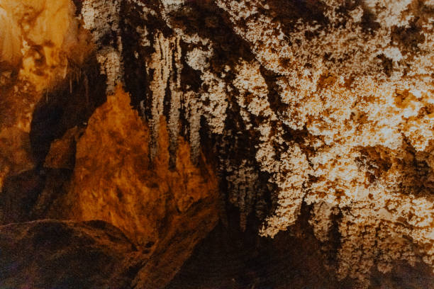 Rock formations in Carlsbad Caverns National Park