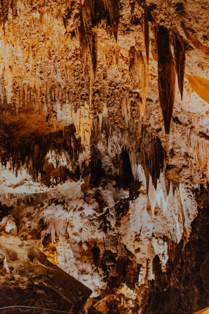 istock Rock formations in Carlsbad Caverns National Park 2166516991
