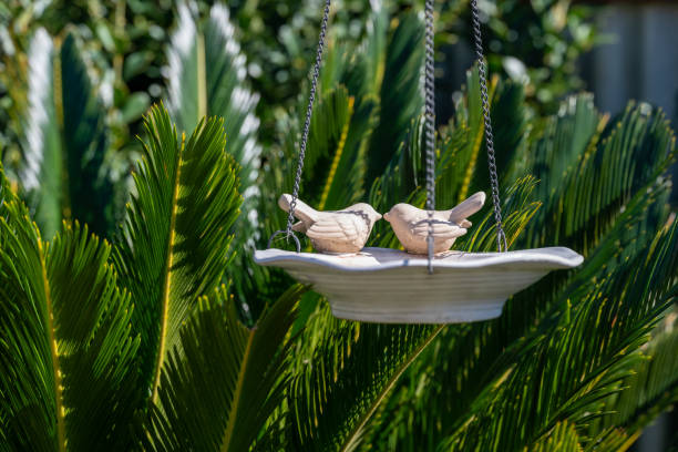 Natural coloured ceramic bird feeder, hanging in garden in Australia, with lush green cycad in background.