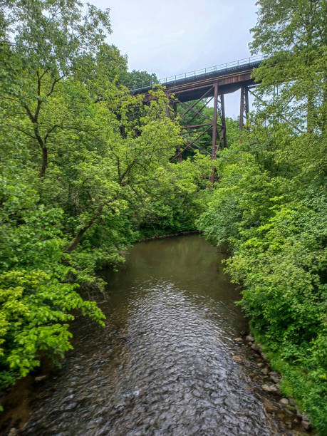 istock Small creek at rainy day 2166526734