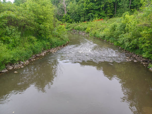 istock Small creek at rainy day 2166526736