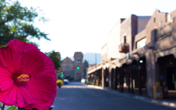 Santa Fe, NM: Hibiscus Flower on Santa Fe Plaza