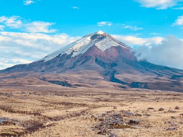 istock Volcano Cotopaxi from north entrance 2166530117