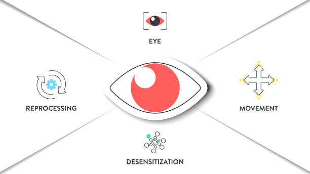 Eye Movement Examples Indesign 70+ Emdr Stock Photos, Pictures & Royalty-Free Images - iStock