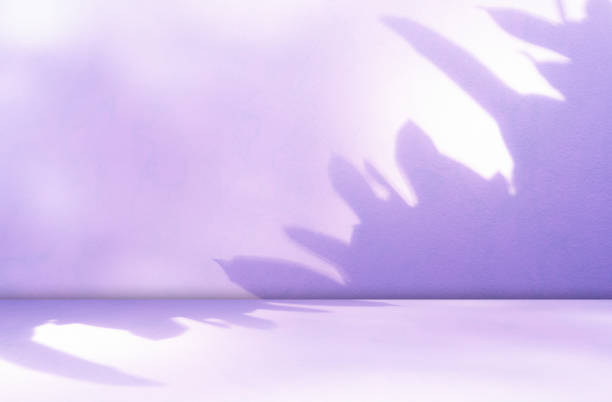 Background product podium studio wall abstract mockup cosmetic kitchen table scene 3d shadow leaves empty counter room backdrop shelf minimal floor summer scene loft spring template platform