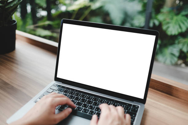 istock A blank screen for hand typing text,using laptop contact business searching information in workplace on desk at office. 2166542684