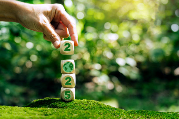 istock Sustainable environment development goals and visions planning business growth for Next Year 2025. 2166551319