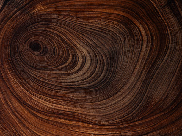 istock Natural wood rings 2166554525