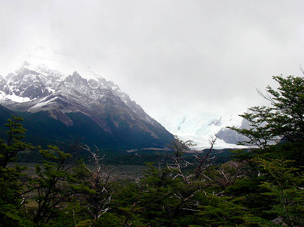 Mountaineer is walking on a glacier with crampons, exploring the vast icy landscape of patagonia
