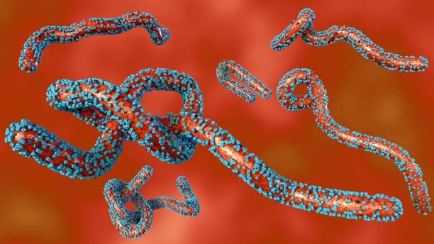 A 3D rendering of a close-up view of scattered Marburg virus particles