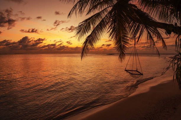 istock Maldivian tropical paradise beach during the sunset 2166560666