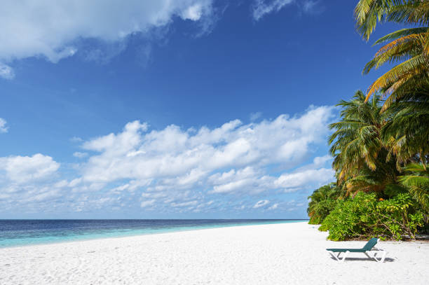 istock Maldivian tropical paradise beach 2166563059