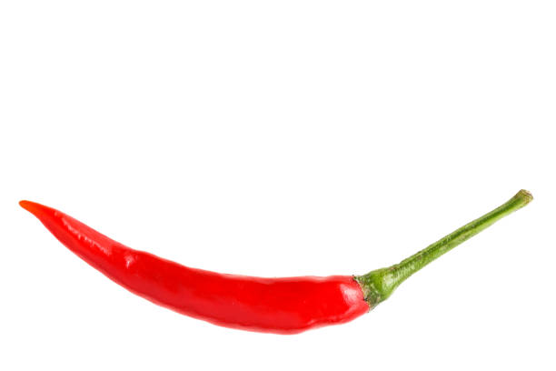 Red chili peppers elegantly aligned in a row against white backdrop