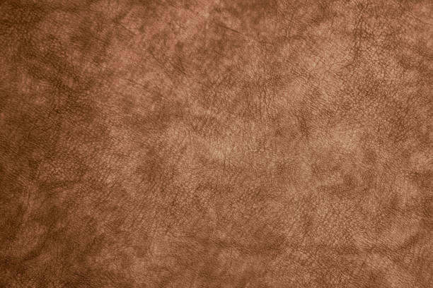 istock Brown vintage leather skin sheet texture background 2166565067