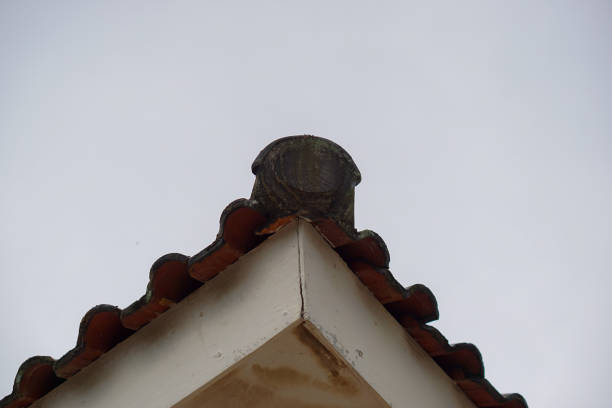 A solitary chimney stands alone, a silent sentinel amidst the solitude of its surroundings.