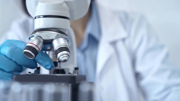 istock Scientist using microscope in laboratory. Close-up of a researcher's hands adjusting a modern microscope in a lab setting. Science concept 2166568627